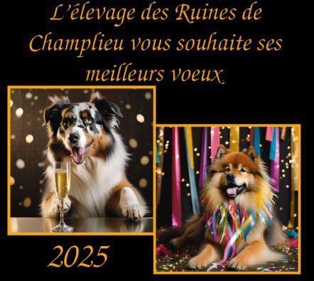 Des Ruines De Champlieu - Bonne année 2025