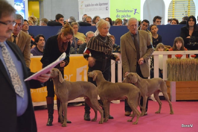 du bois de la haie heudier - Salon de l'agriculture 2014