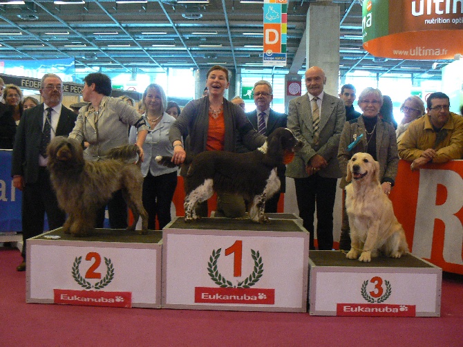 Salon de l'agriculture 2014