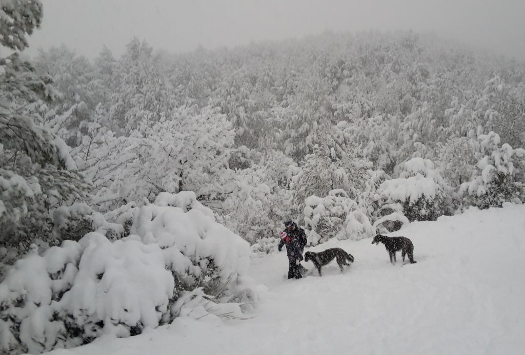 Graylord's - La neige a été propice cette année ! (26-27-28/02/18)