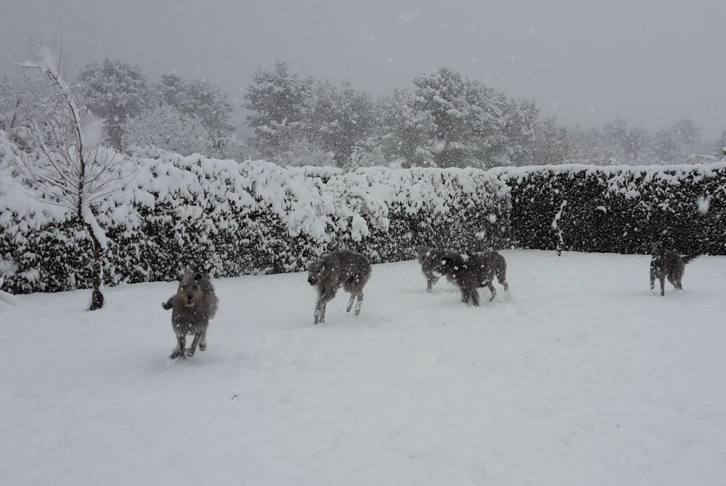 Graylord's - La neige a été propice cette année ! (26-27-28/02/18)