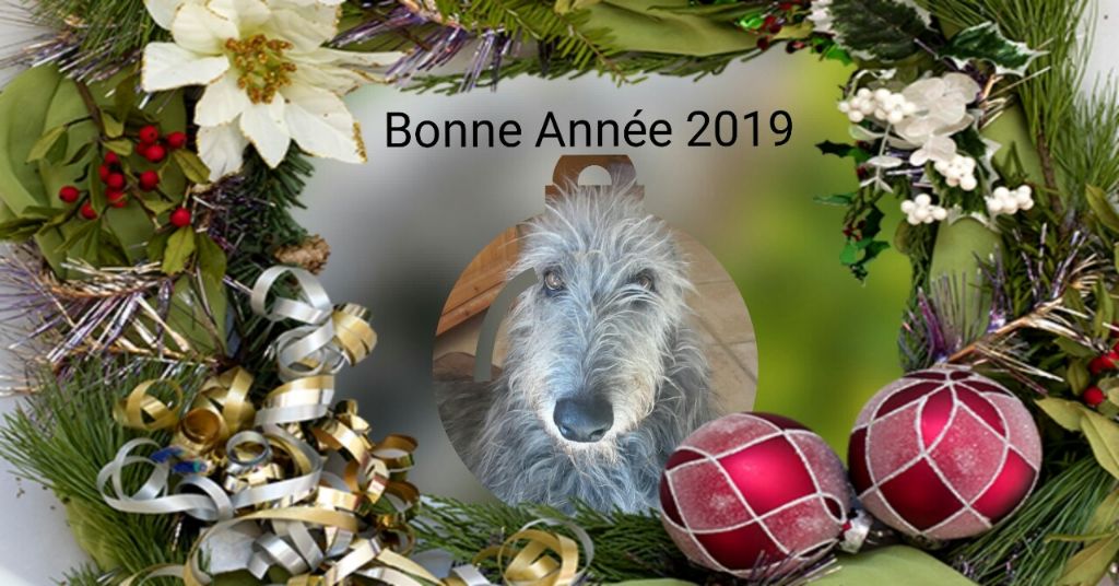 Bonne Année !