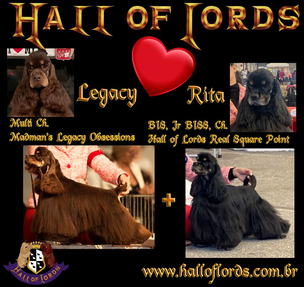 Hall Of Lords - Première portée de "Legacy" et "Rita"