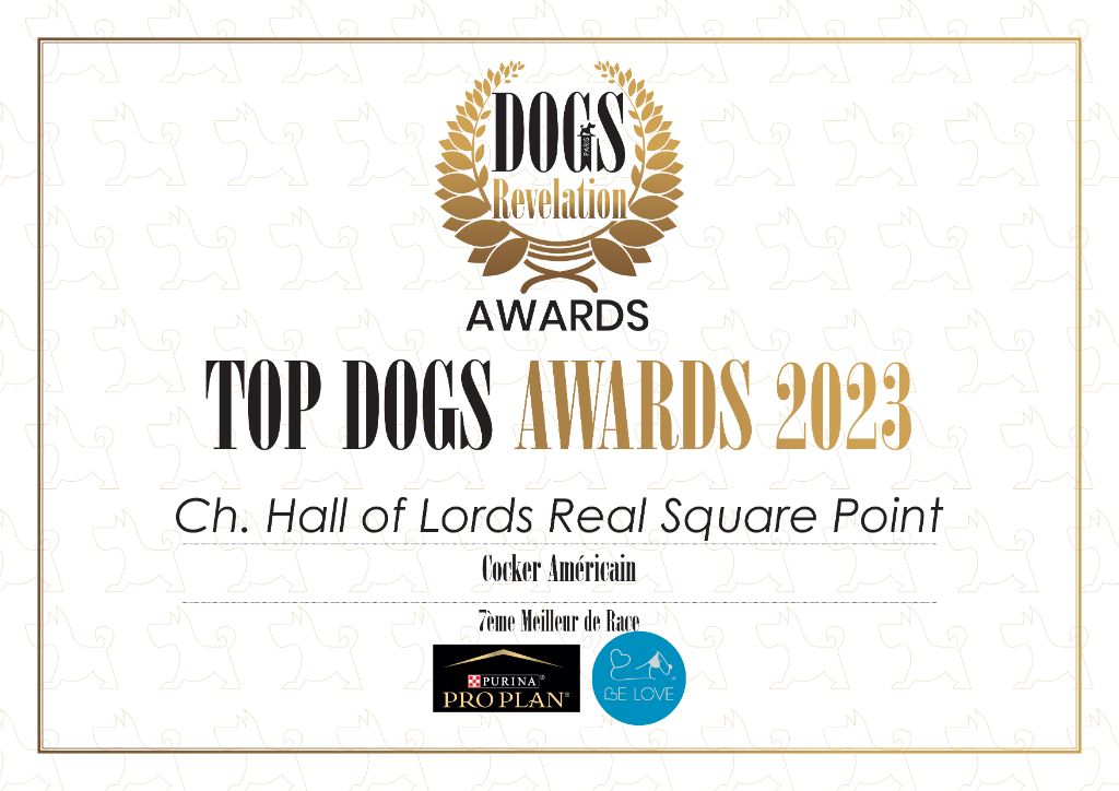 Hall Of Lords - "Rita" est le 7ème Meilleur Cocker Spaniel Américain en 2023