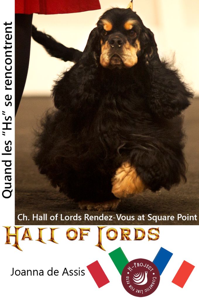 Hall Of Lords - Quand les "Hs" se rencontrent