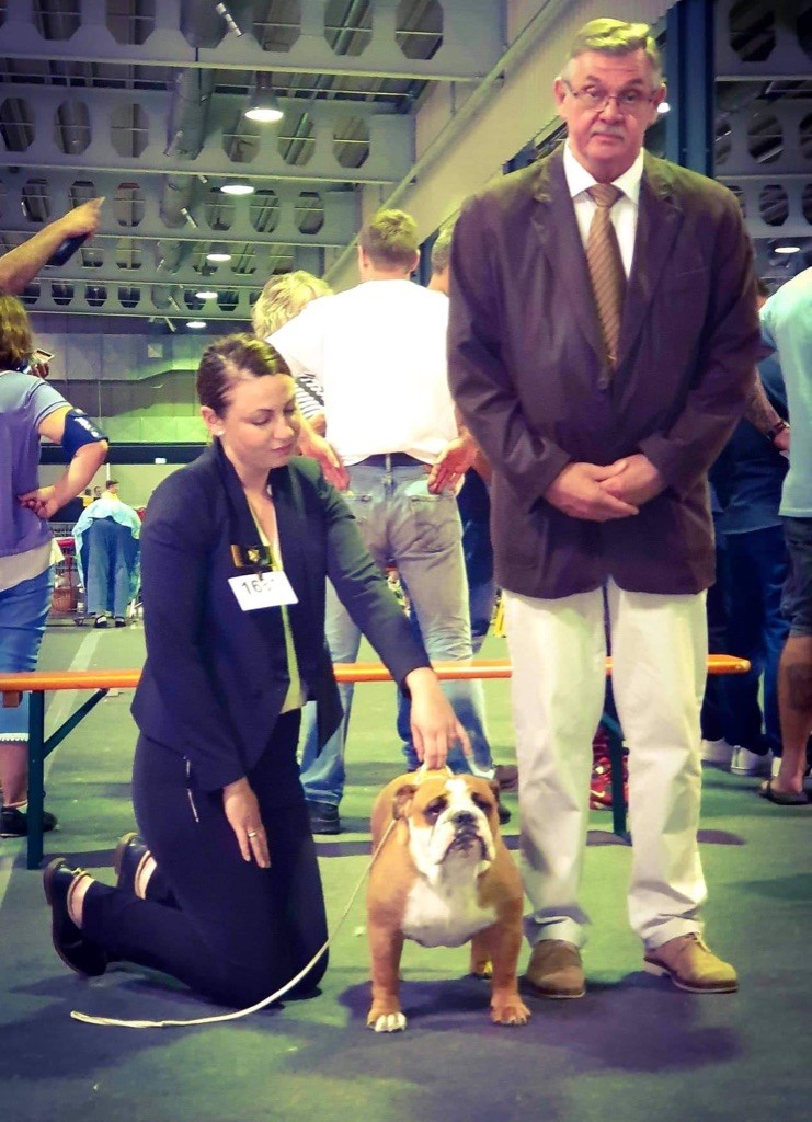 Myally Bulldog - Luxembourg International Dogshow 