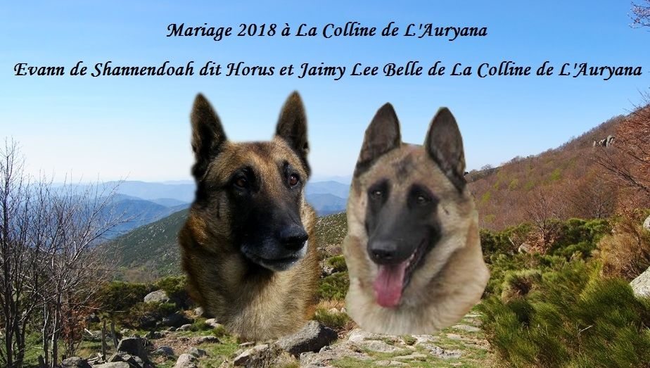 De La Colline De L'Auryana - Mariage 2018