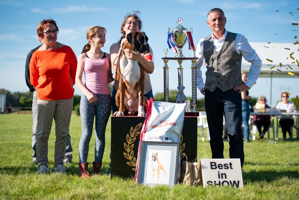 De La Colline Aux Crocs D'or - Best In Show 2023