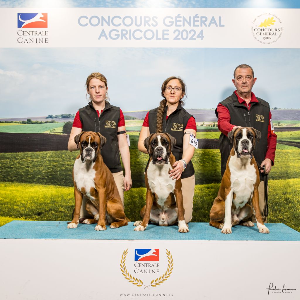 De La Colline Aux Crocs D'or - Meilleurs lot d'Elevage 2023