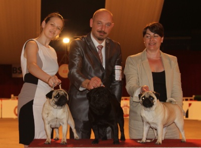 Du chevalier de saint maxime - Internationale de MONACO