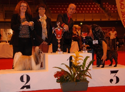 Du chevalier de saint maxime - Internationale de beauvais