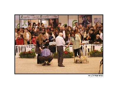 Du chevalier de saint maxime - SALON AGRICULTURE 02.03.2008