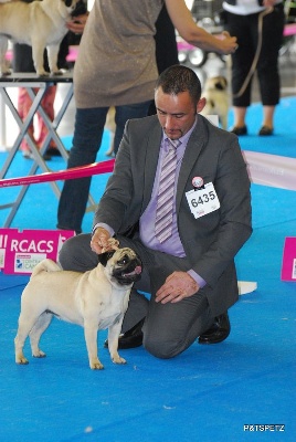 Du chevalier de saint maxime - Championnat de France METZ