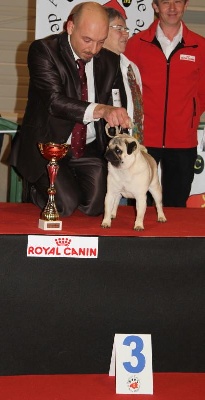 Du chevalier de saint maxime - Internationale de Rouen