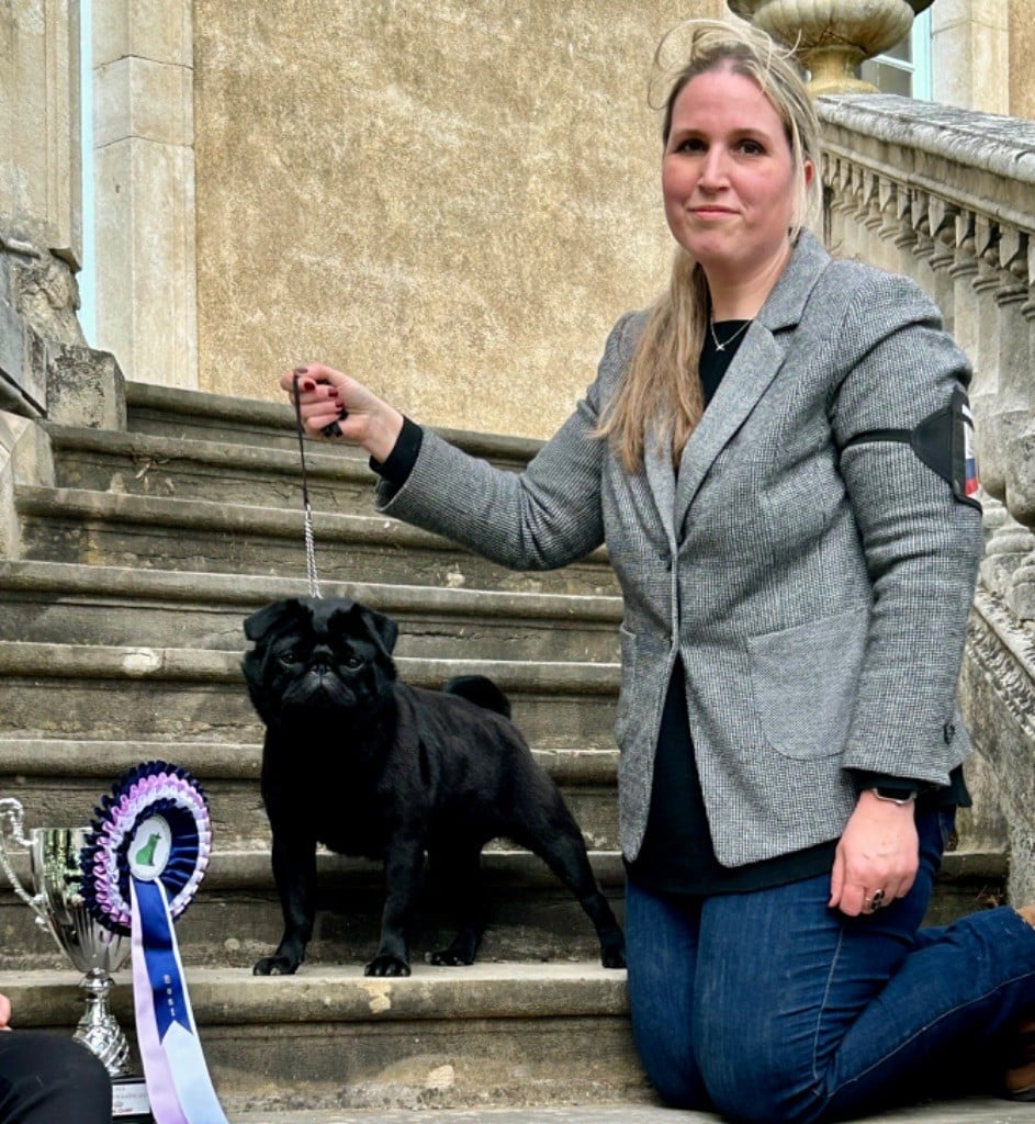 Du chevalier de saint maxime - Meilleur du Groupe 9 NDS Chalon Sur Saône 