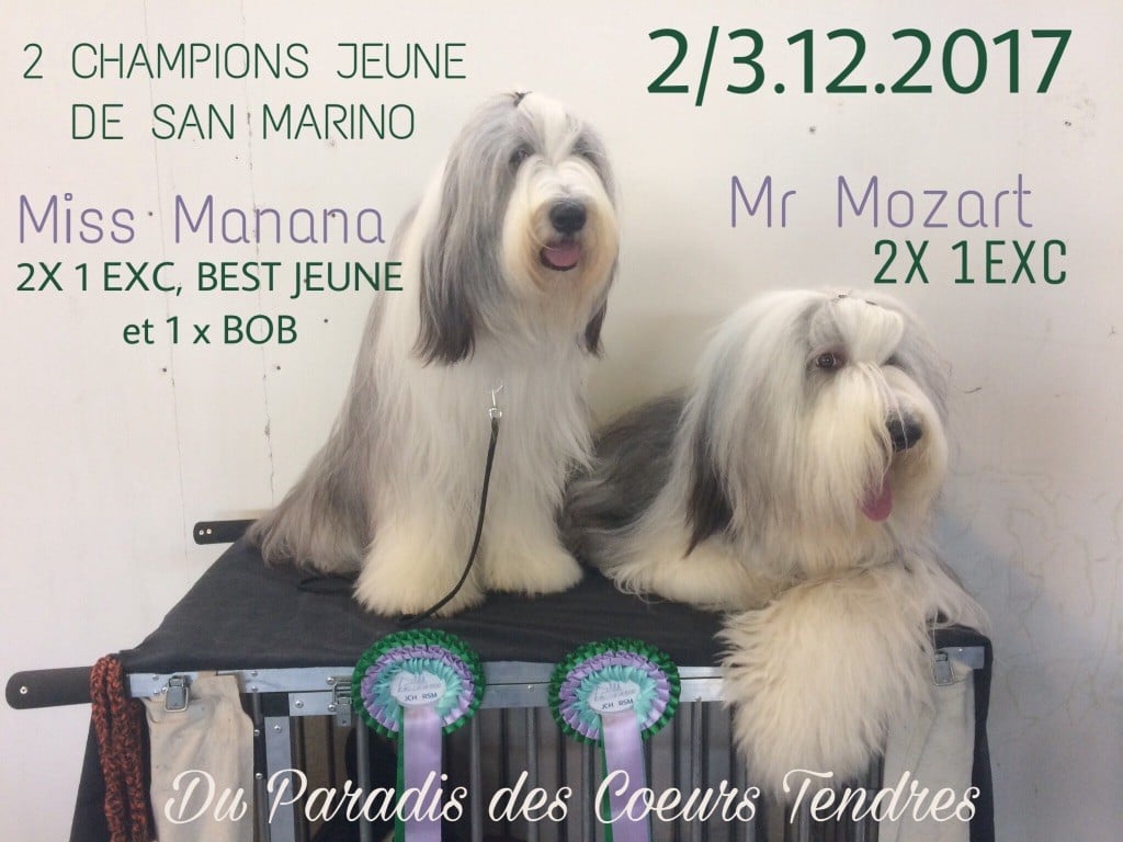 DOG SHOW SAN MARINO 