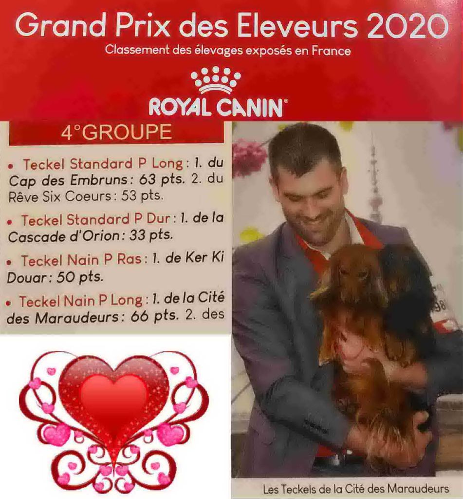 Grand Prix des Eleveurs 2020 Vos Chiens