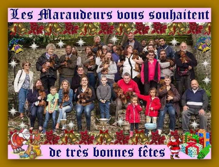 de la Cité des Maraudeurs - Bonnes Fêtes à tous