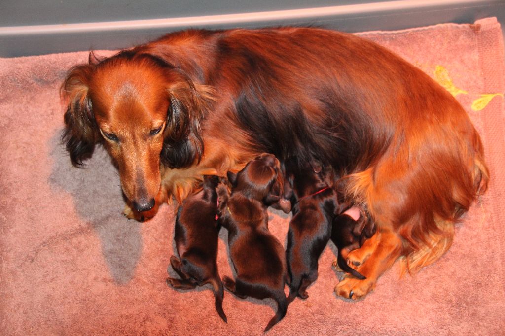 de la Cité des Maraudeurs - Les Photos des Bébés sont en ligne