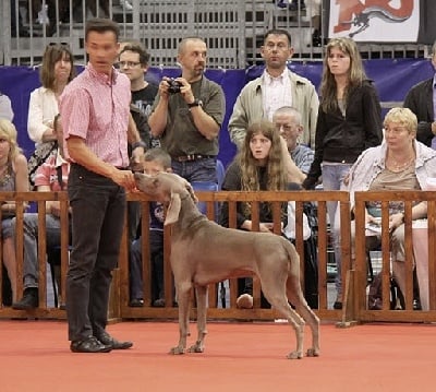 von silberweiss jäger - DALI encore aux résultats durant les 2js de Douai !