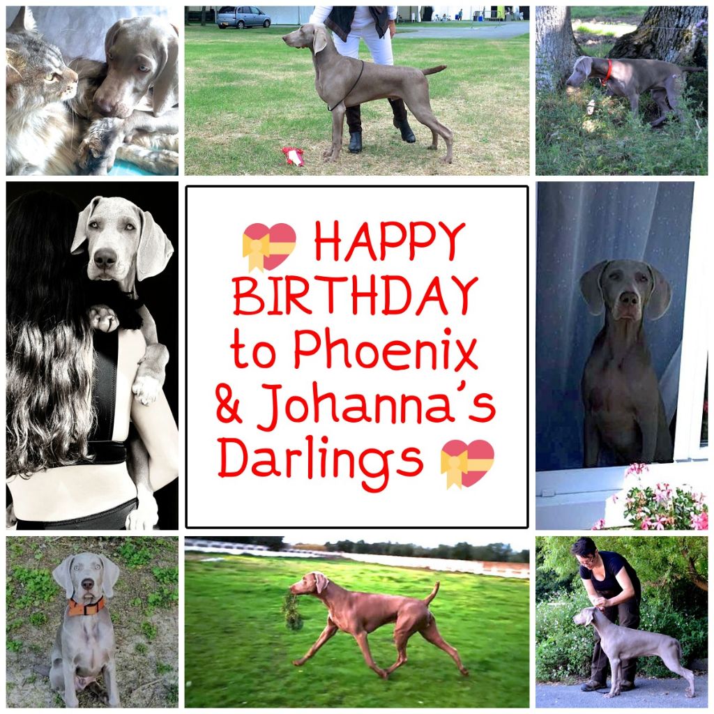 von silberweiss jäger - HAPPY 1RST BIRTHDAY aux BB PHOENIX X JOHANNA !!!