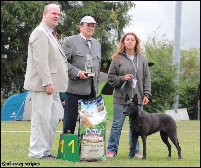 of Saint John's - Nationale d'elevage au Luxembourg