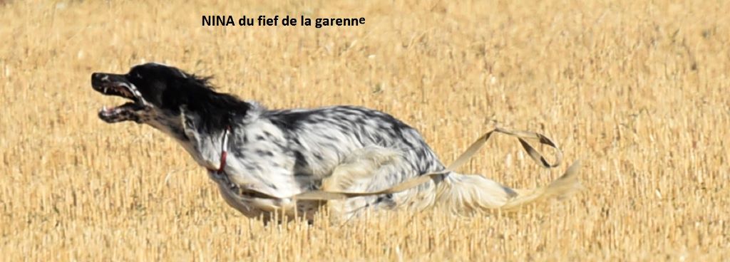 du fief de la Garenne - TAN 2018