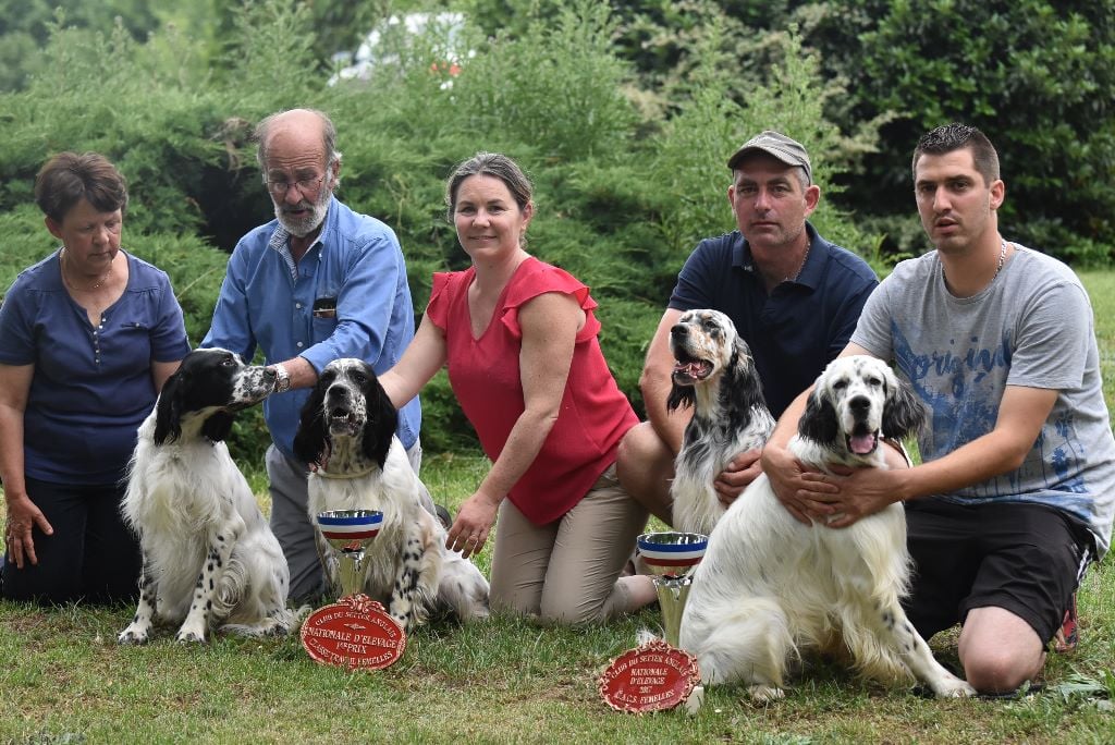 du fief de la Garenne - VOUILLE 2017 NE du SETTER ANGLAIS