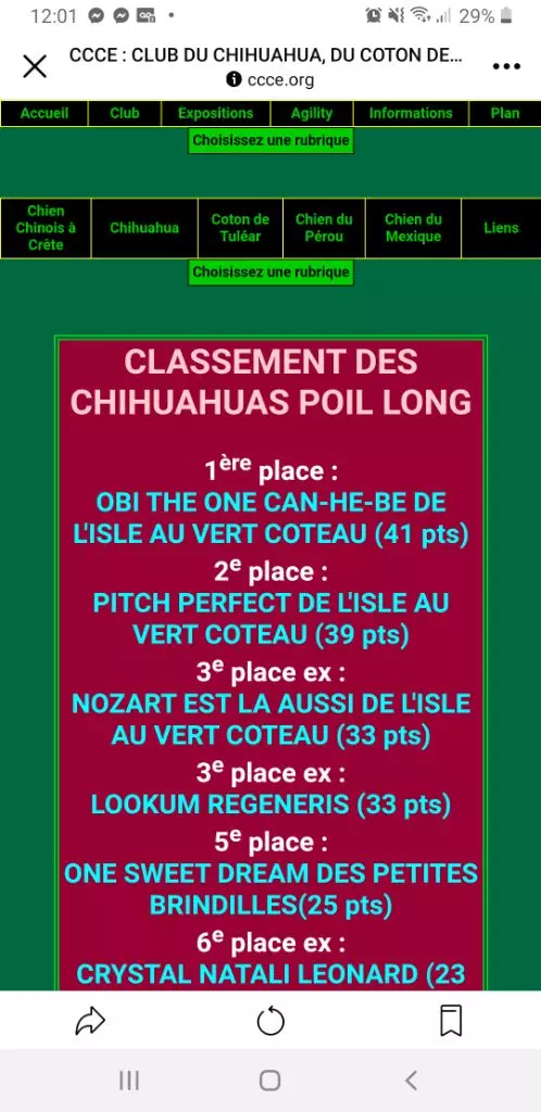 Des Petites Brindilles - Classement voschiens magazine 2021