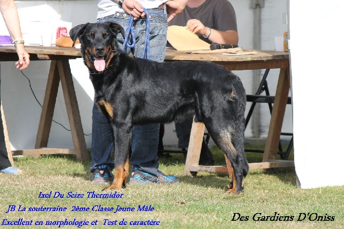 Des Gardiens D'oniss - Journée Beauceronne La Souterraine 