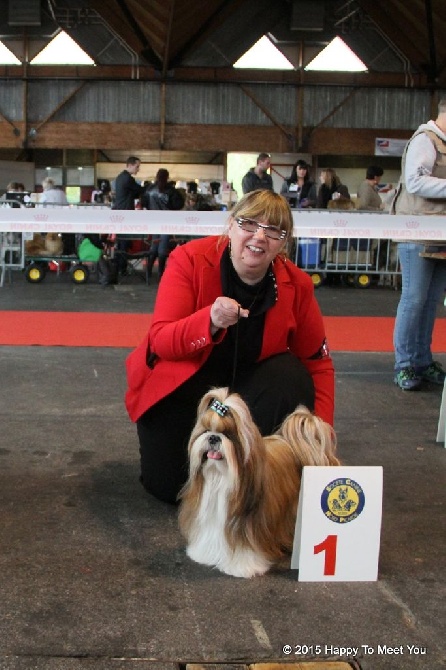 Happy To Meet You - Amiens 02.05.15 - Spéciale Shih Tzu - Hascott CACS/CACIB