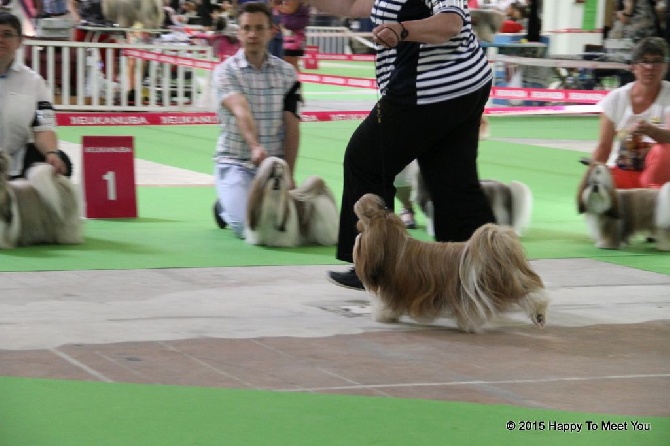 Happy To Meet You - Championnat de France 7 Juin 2015 - Dijon - Hascott Exc. non classé