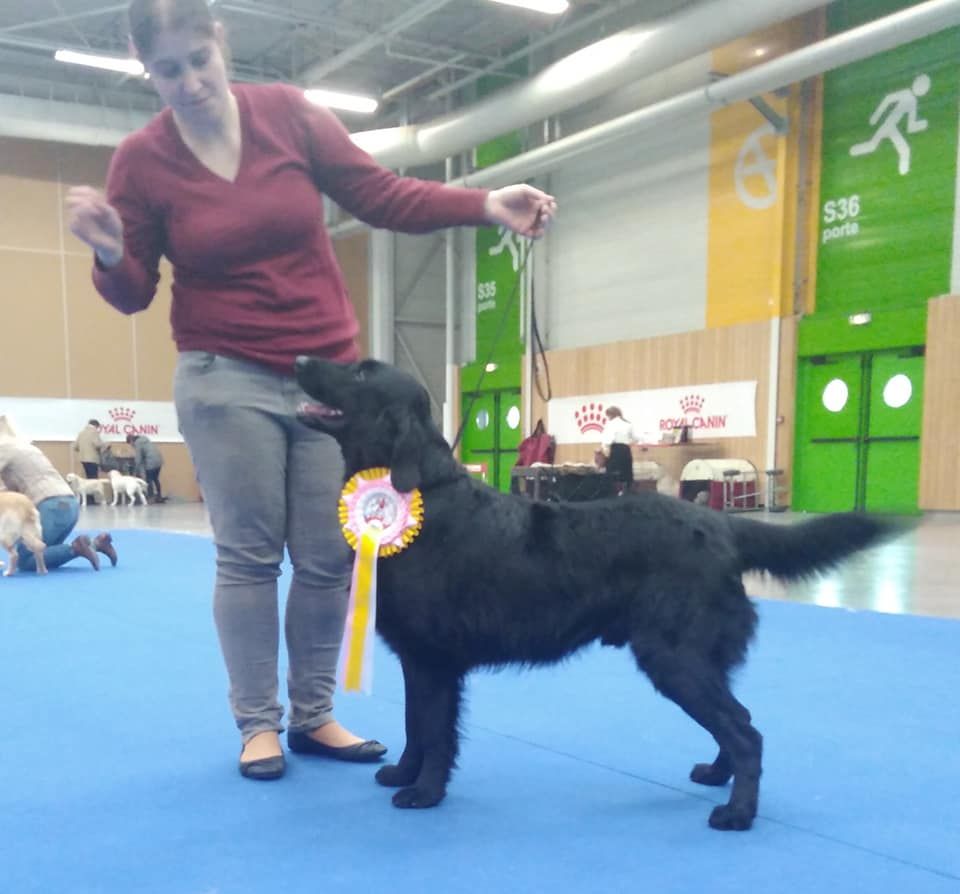 Des Terres De Flore - **Paris Dog Show**