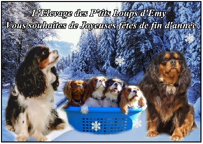 Des P'tits Loups D'emy - Bonne fête de fin d'année