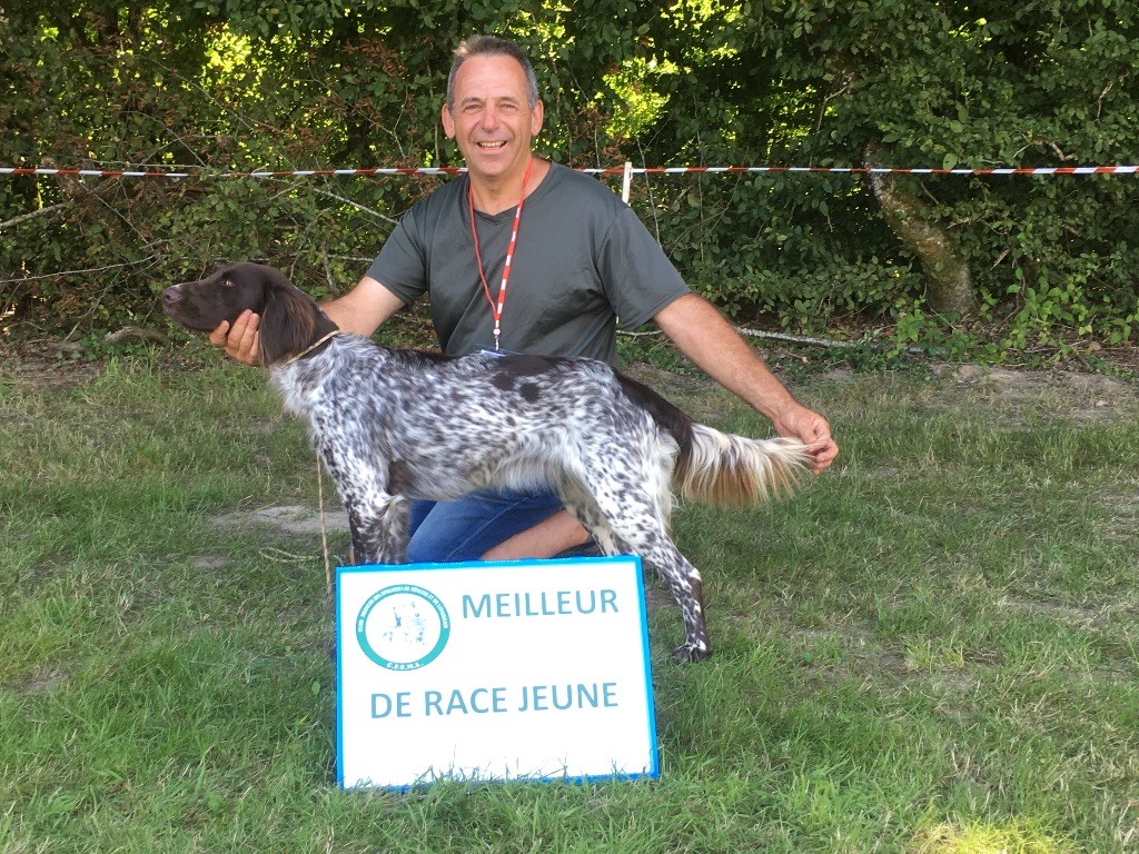 De La Ranche Du Chêne - Nafti de la Ranche du Chêne 1ER Jeune en NE 2018