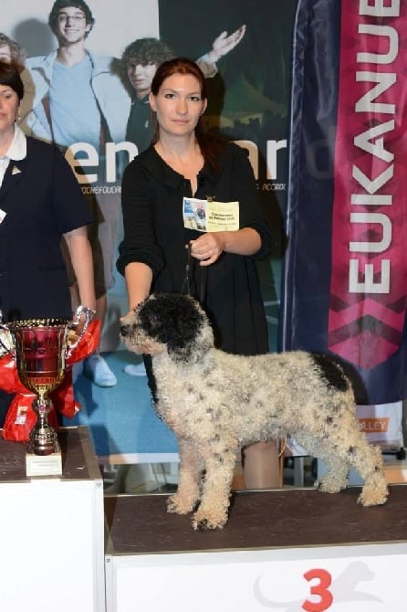 Jennifer Toutain - Résultats CHAMPIONNAT DE FRANCE