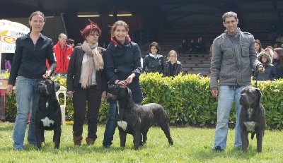 Jennifer Toutain - Expo AGEN 2013