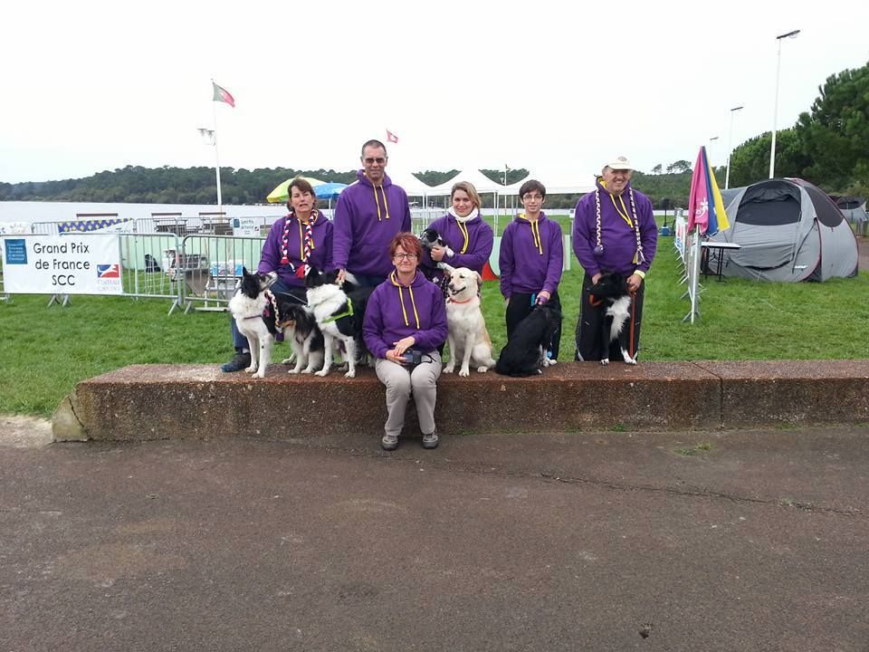 Du Trésor Du Berger De Fontenay - Champions de France de Flyball 2015