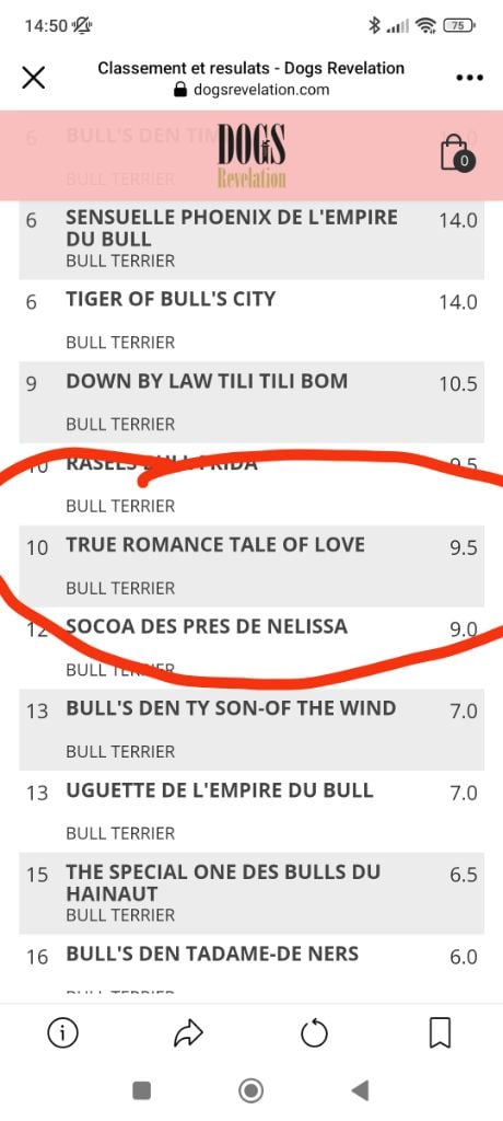 Tale Of Love - Classement Dog Révélation 