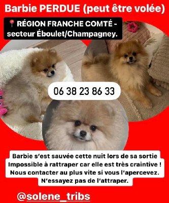 ALERTE DISPARITION