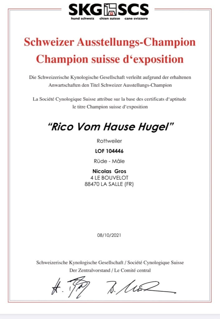 Rico, champion suisse d expositions !!!!