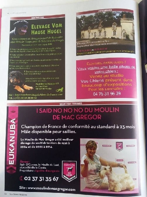 Parution dans VOS CHIENS MAGAZINE