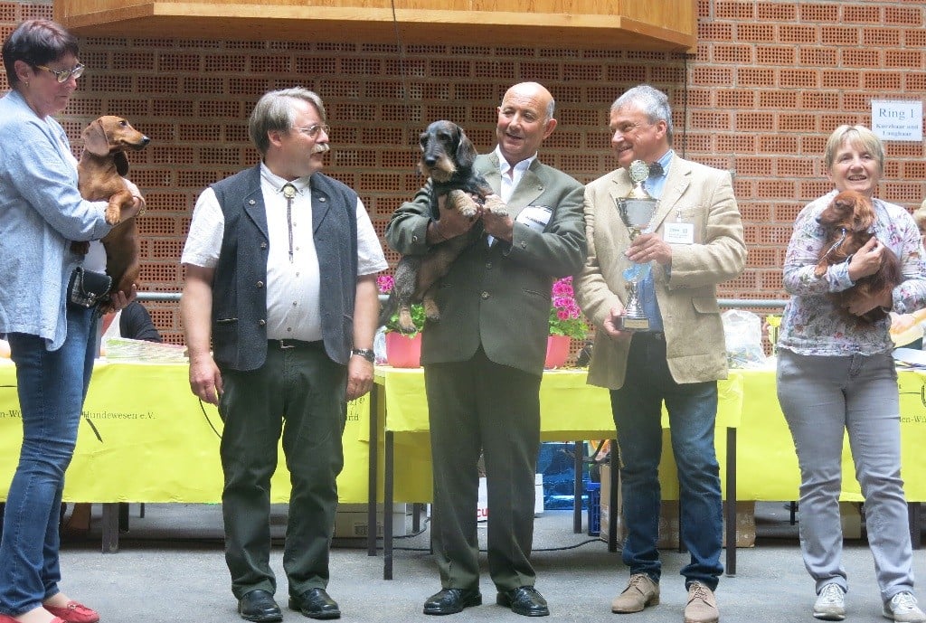 Von Beltztal - Ioury : meilleur chien de la journée à HERRENBERG