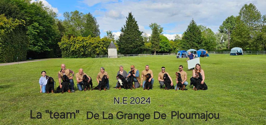 De La Grange De Ploumajou - NATIONALE D'ELEVAGE 2024