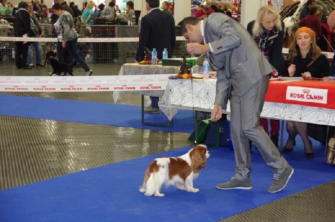 des Jardins de Bagatelle - résultats du week end Metz