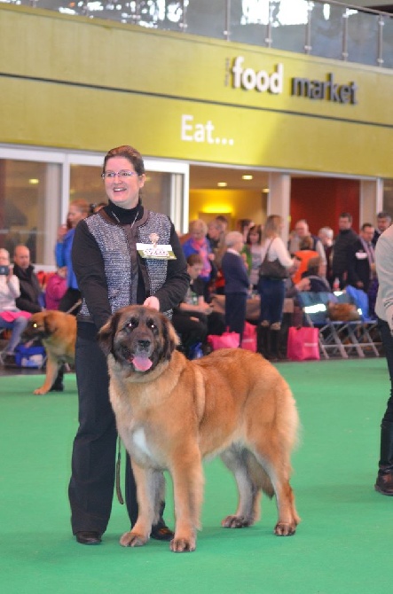 Du Duche De Burgondie - CRUFTS 2016