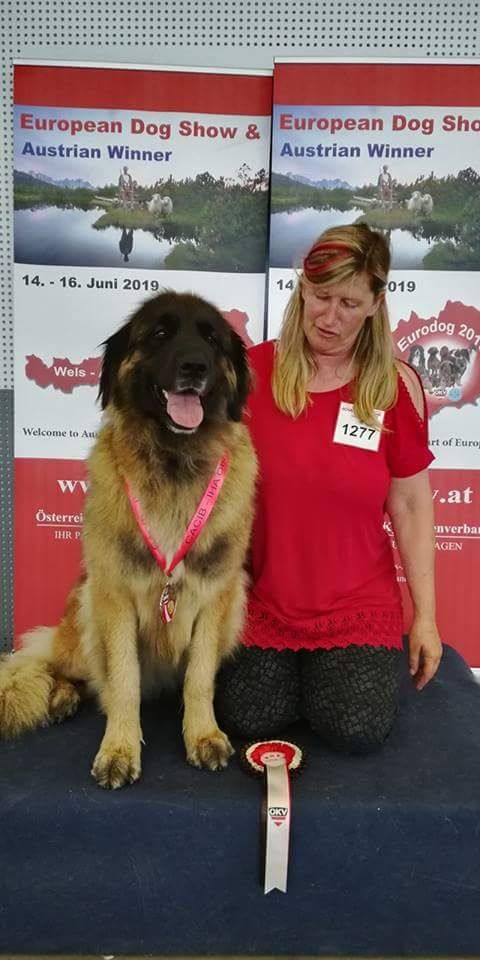 Du Duche De Burgondie - Championne d'Autriche 