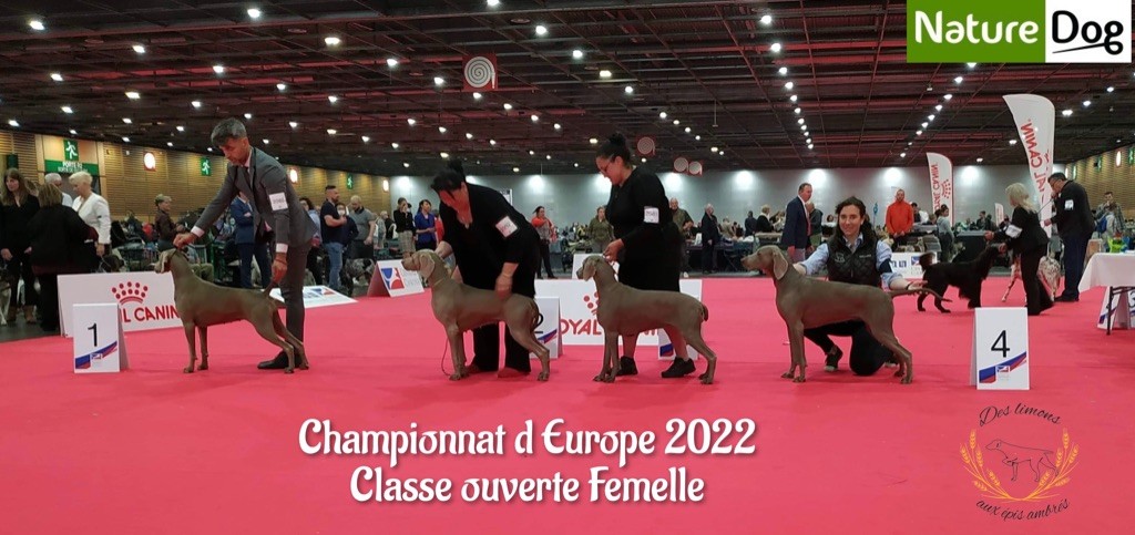 Championnat d?Europe 2022 