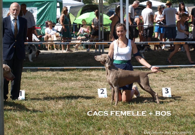 Des Limons Aux Epis Ambrés - Week end dans la région GRAND EST