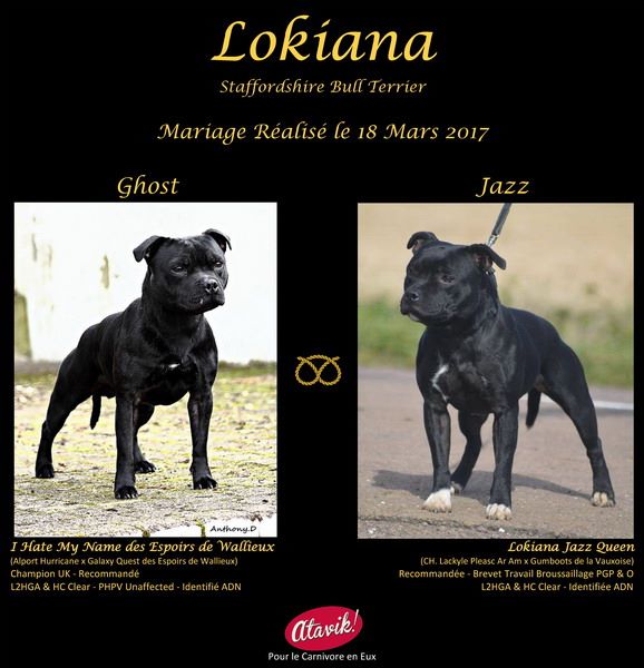 Lokiana - Mariage Réalisé le 18/03/2017